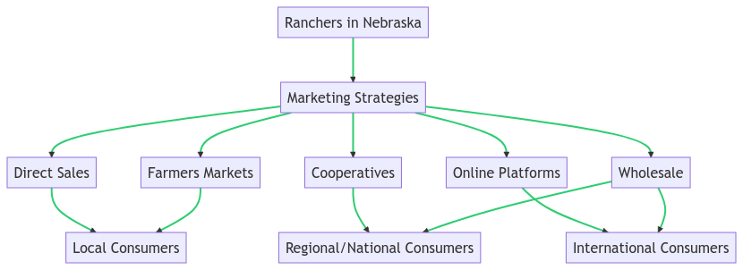 harnessing the power of internet marketing a guide for nebraskas cattle ranchers nebraska ranchers marketing diagram 2023 05 19