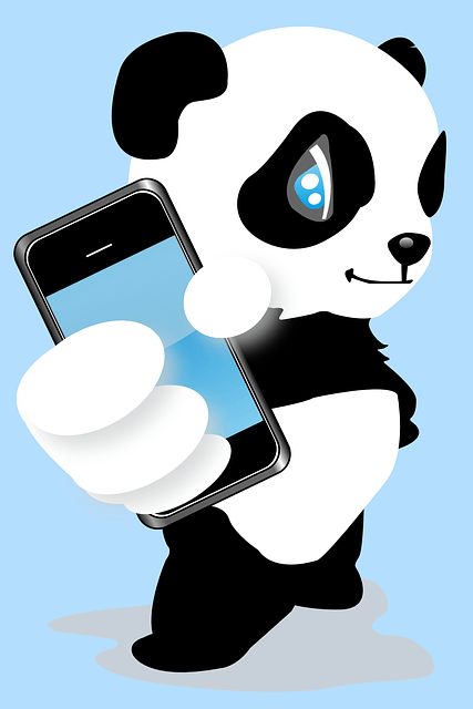 panda photo
